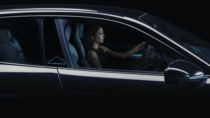 シェーンボーデン 2022 Tige 23ZX | Germaine Marine